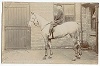  Rider on Horse 