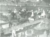 School children on bridge