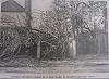  Local Gale Damage 1962 
