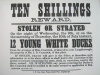  Theft of ducks - 1873 