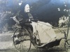  Mrs Sophia Perry-Herrick 