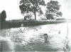  Boys enjoying the River Soar in 1905 