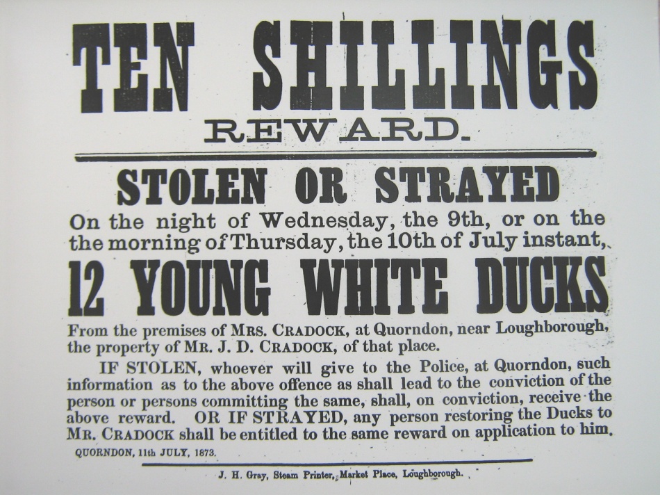 Theft of ducks - 1873