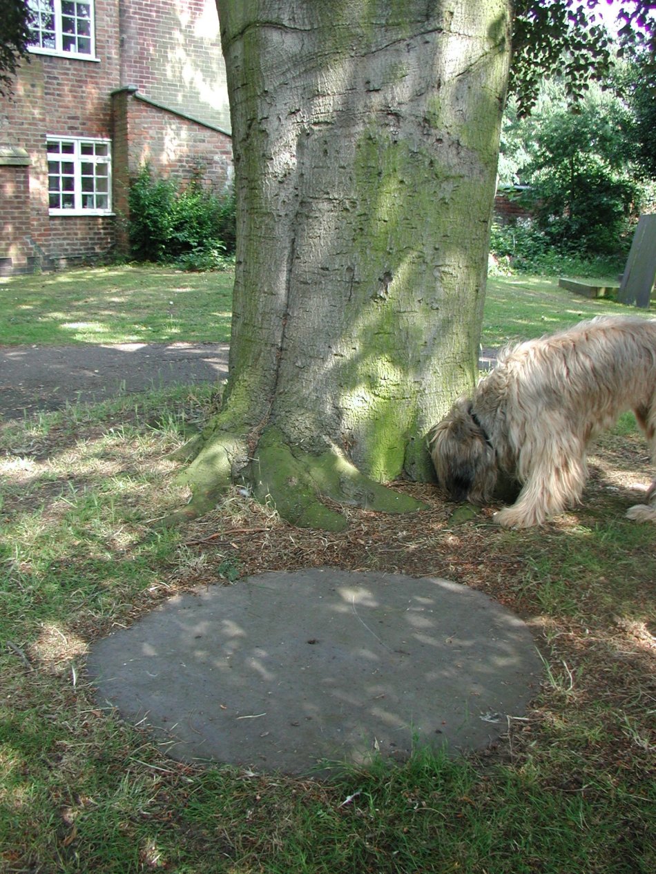Quorn's church clock loses face: Three-inch slip after 132 years