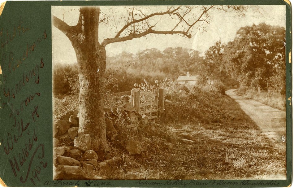 Christmas Card showing Wood Lane