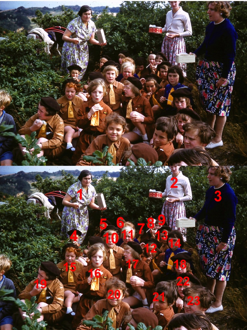 Quorn Brownies, 1960s