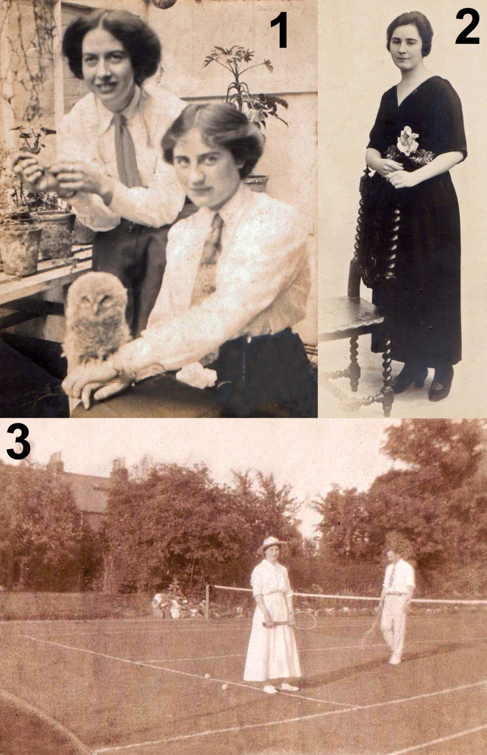 Muriel Sheffield (nee White), 1894 to 1978