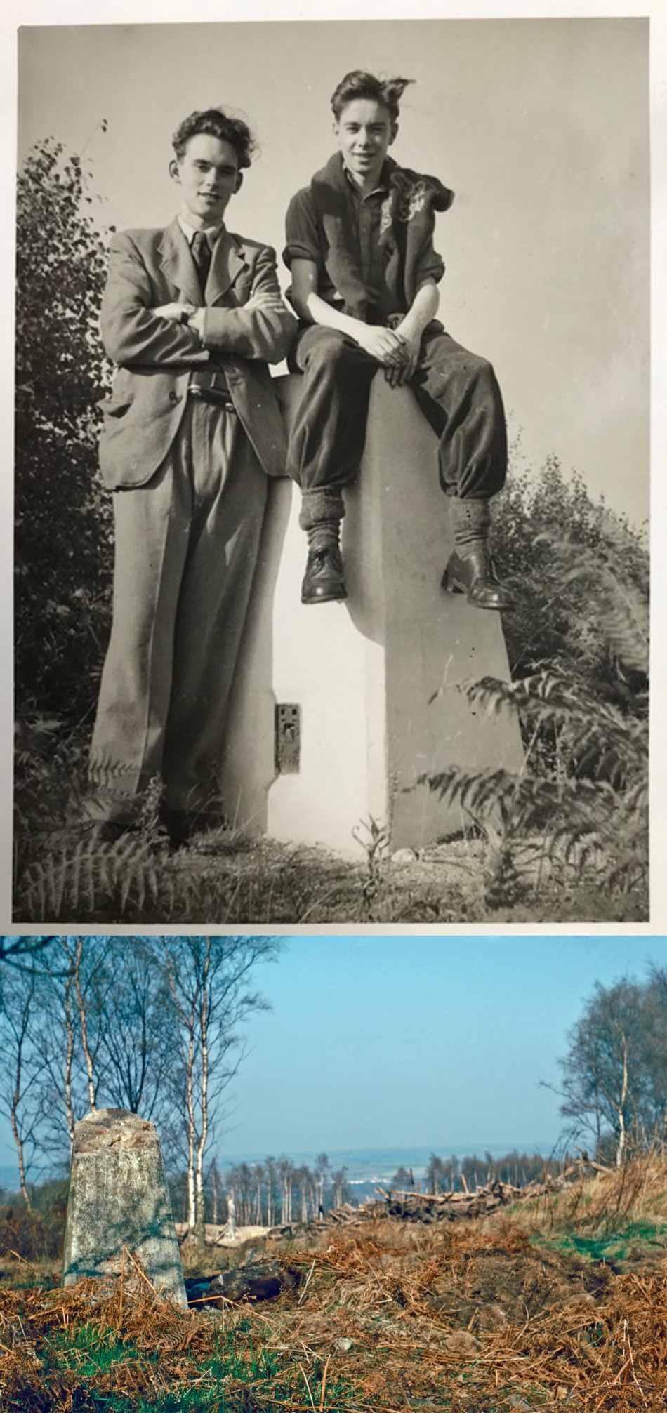Buddon Wood, Quorn, Trig Point, 1950s