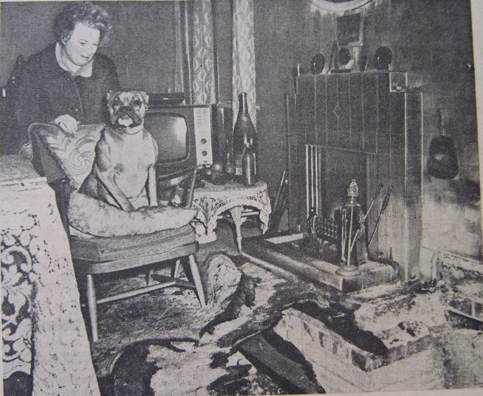 Dog drags eiderdown from bed to raise fire alarm